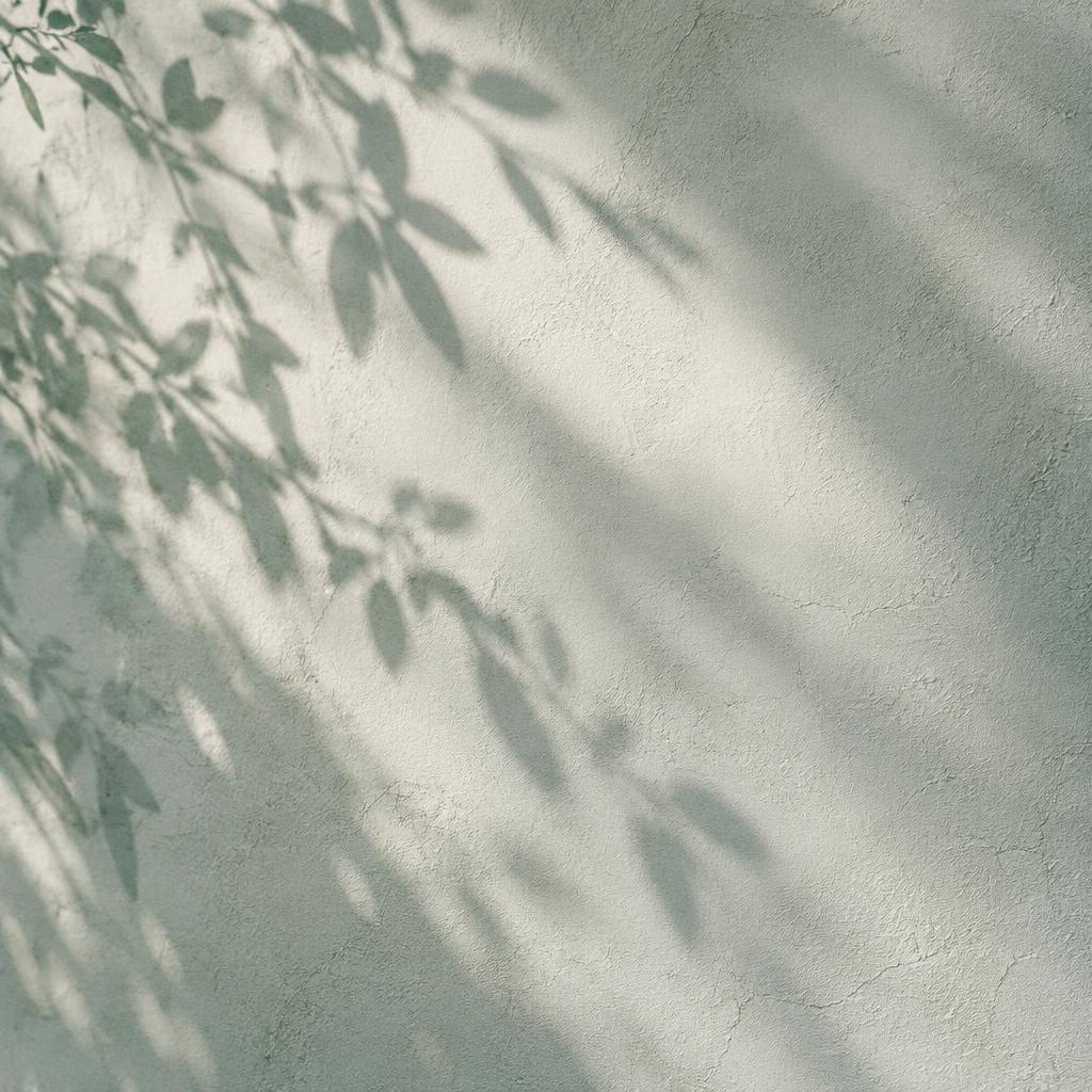 Soft morning light falling across an ivory wall